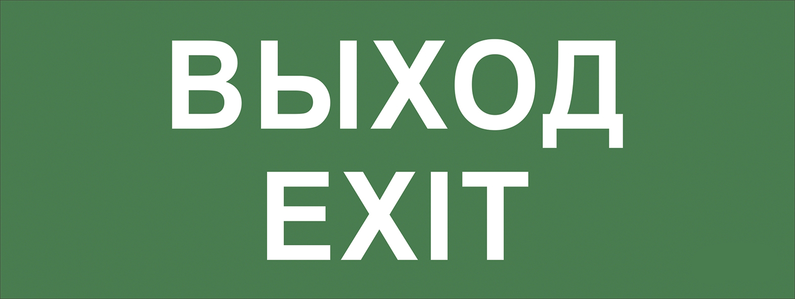 Самоклеящаяся этикетка ЭРА INFO-DBA-015 200х60мм  Выход-EXIT  DBA